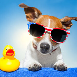 Livingyourvisionpup e1434746620323