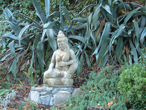 buddha