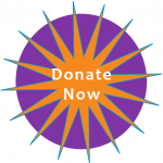DonateNowButton-star