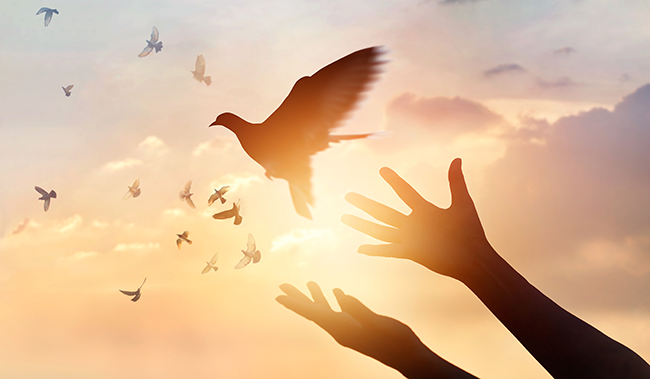 Image result for forgiveness, how to forgive offenders and strategically position yourself to forgive, ignore and forget people who hurt and offend you in your walk with God