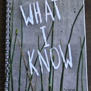 whatiknowjournal