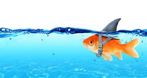 fishvision