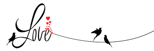 birdsong splash