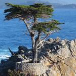 Emotional Agility in These Times