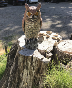 wssowl