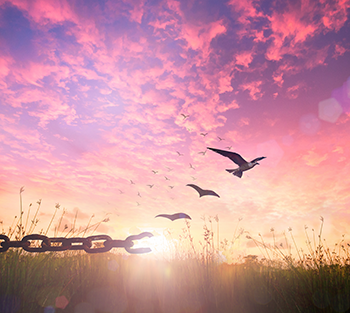 healing our wounds