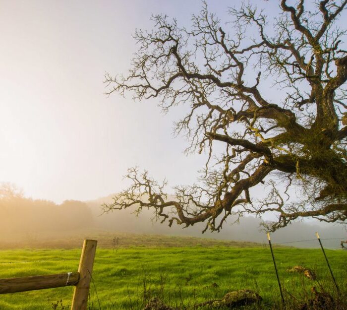 5.7_sacredlandimage3-1600x1000-1-1000x625