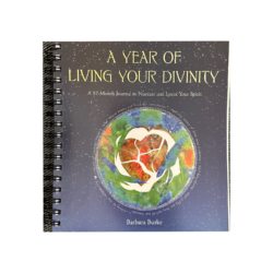 A Year Of Living Your Divinity