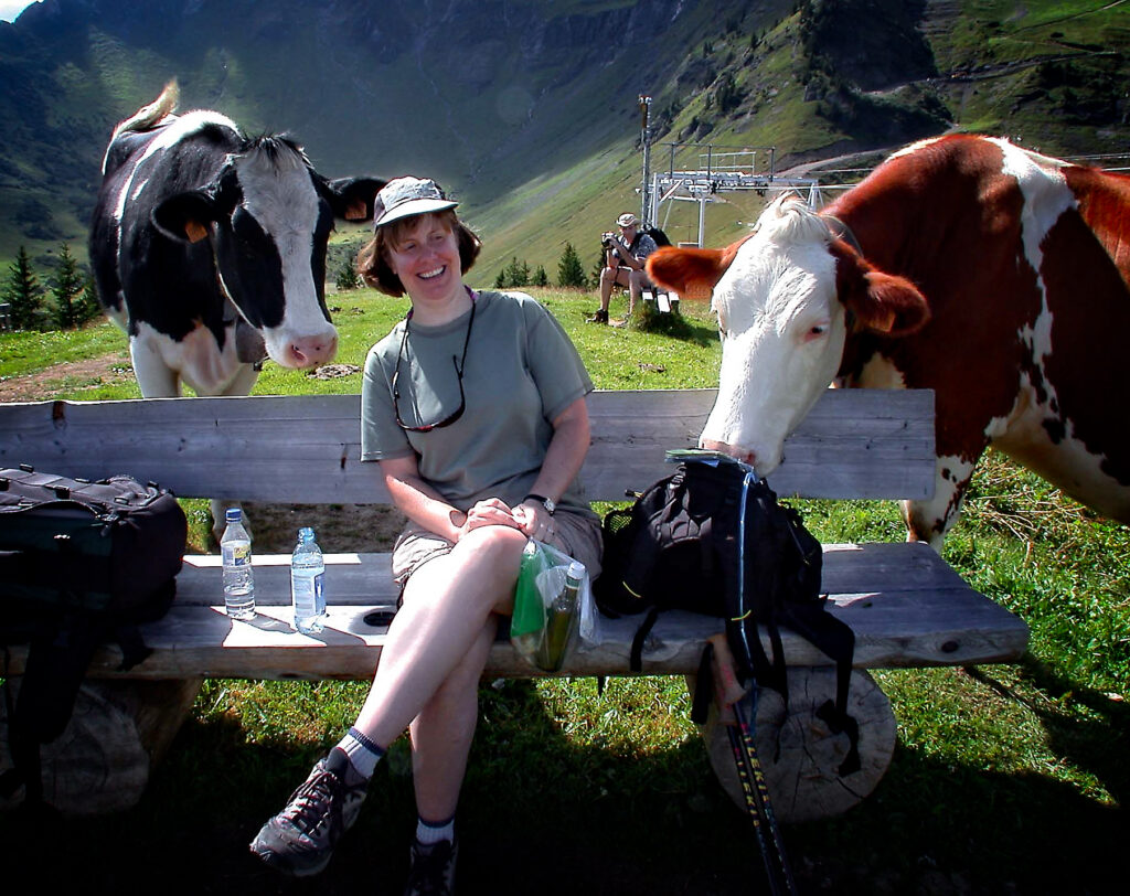 Jo Mattoon surrounded by cows in the Swiss alps. Hoffman Podcast