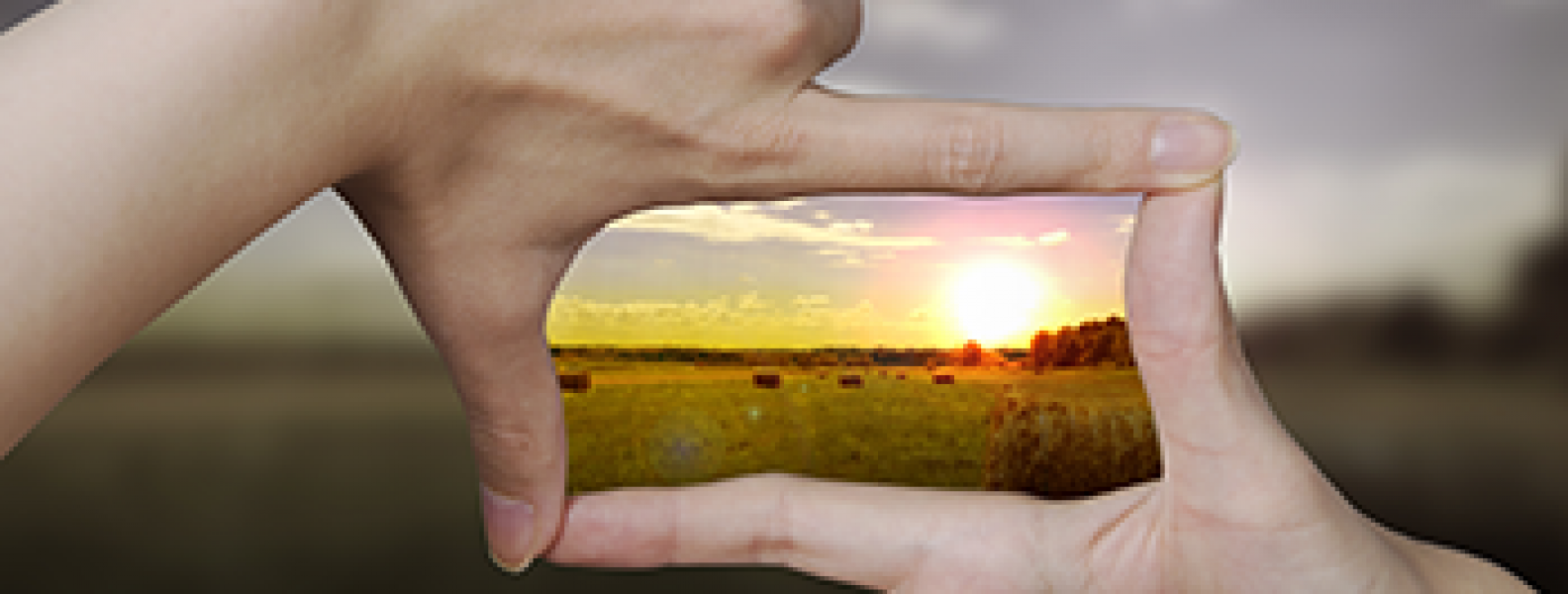 Creating Your Vision & Designing the Life You Want